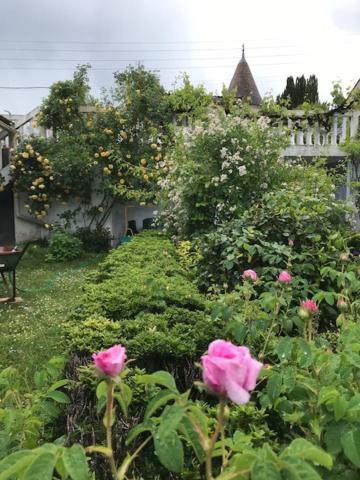 Un Paradis De Verdure En Plein Centre Ville Périgueux Екстериор снимка